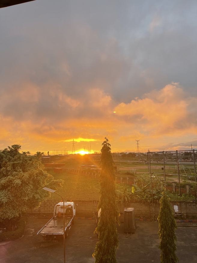 Sunset over Abuja behind a tall tree